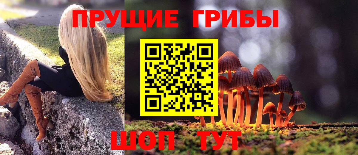 Псилоцибиновые грибы прущие грибы  Галлюциногенные грибы Magic Shrooms  Вход с VPN  Феодосия 